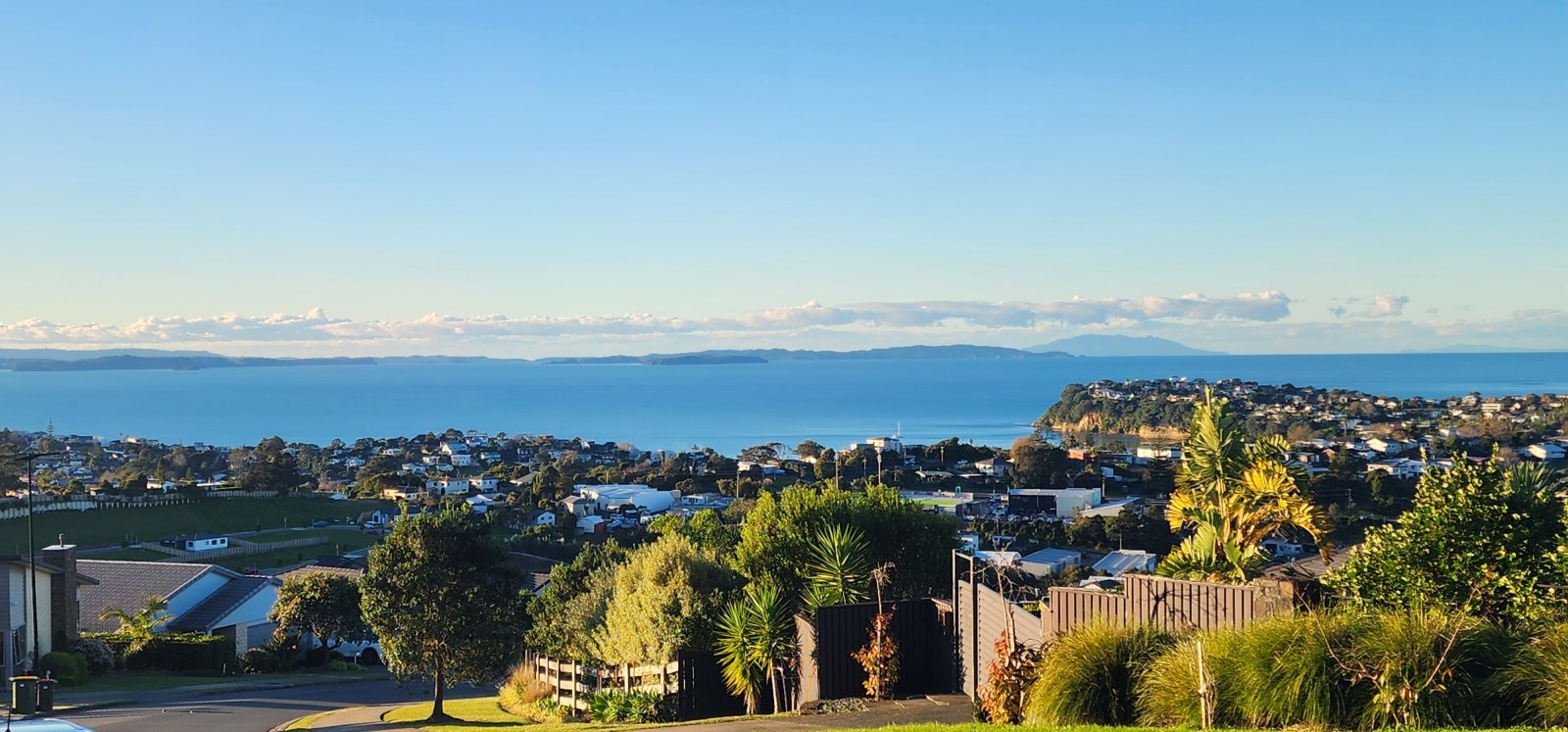 Overlooking the bay of whales