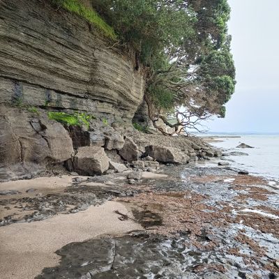 WGP Cliffs