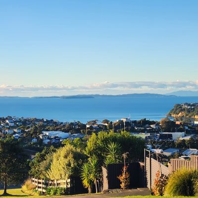 Overlooking the bay of whales